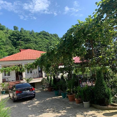 Guesthouse Mtsvane Koncxi 22 Mtsvane Kontskhi Exteriér fotografie