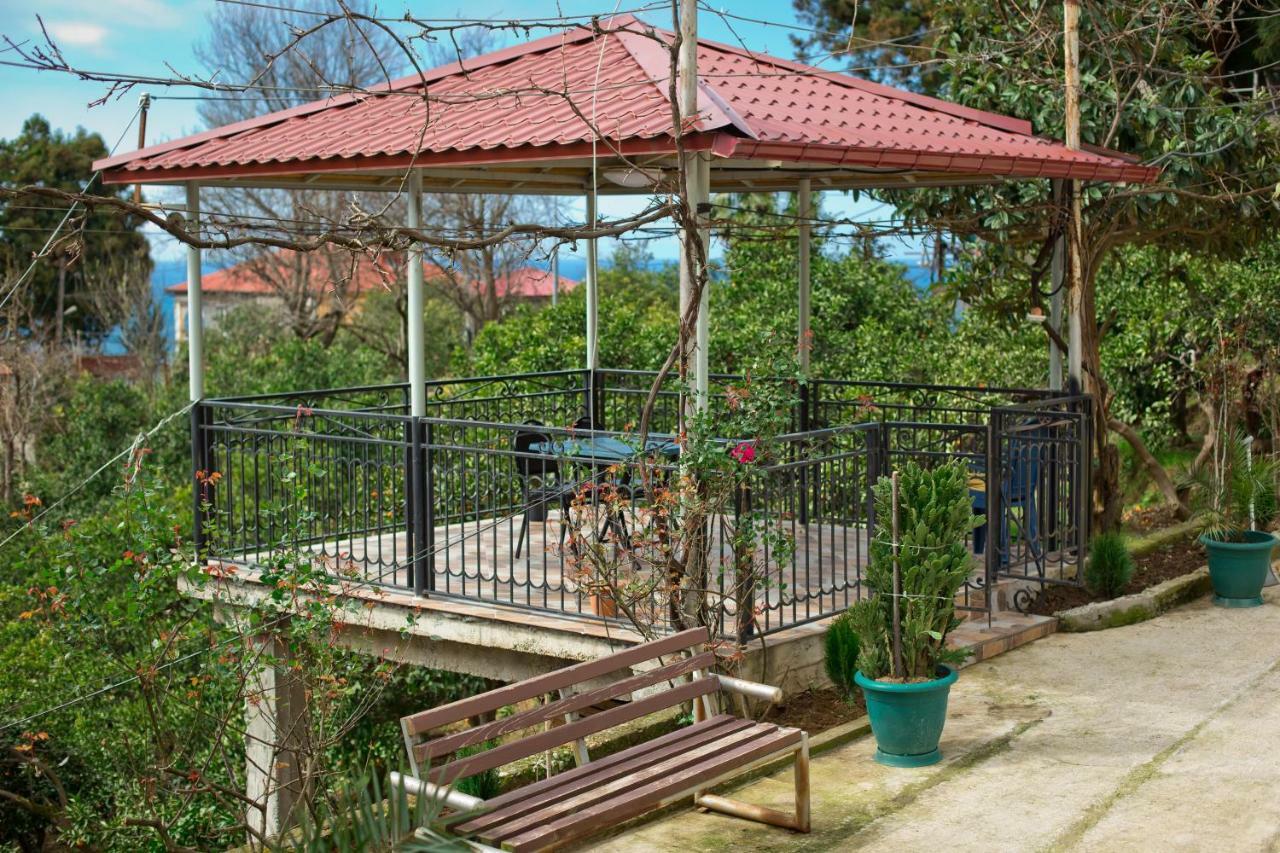Guesthouse Mtsvane Koncxi 22 Mtsvane Kontskhi Exteriér fotografie
