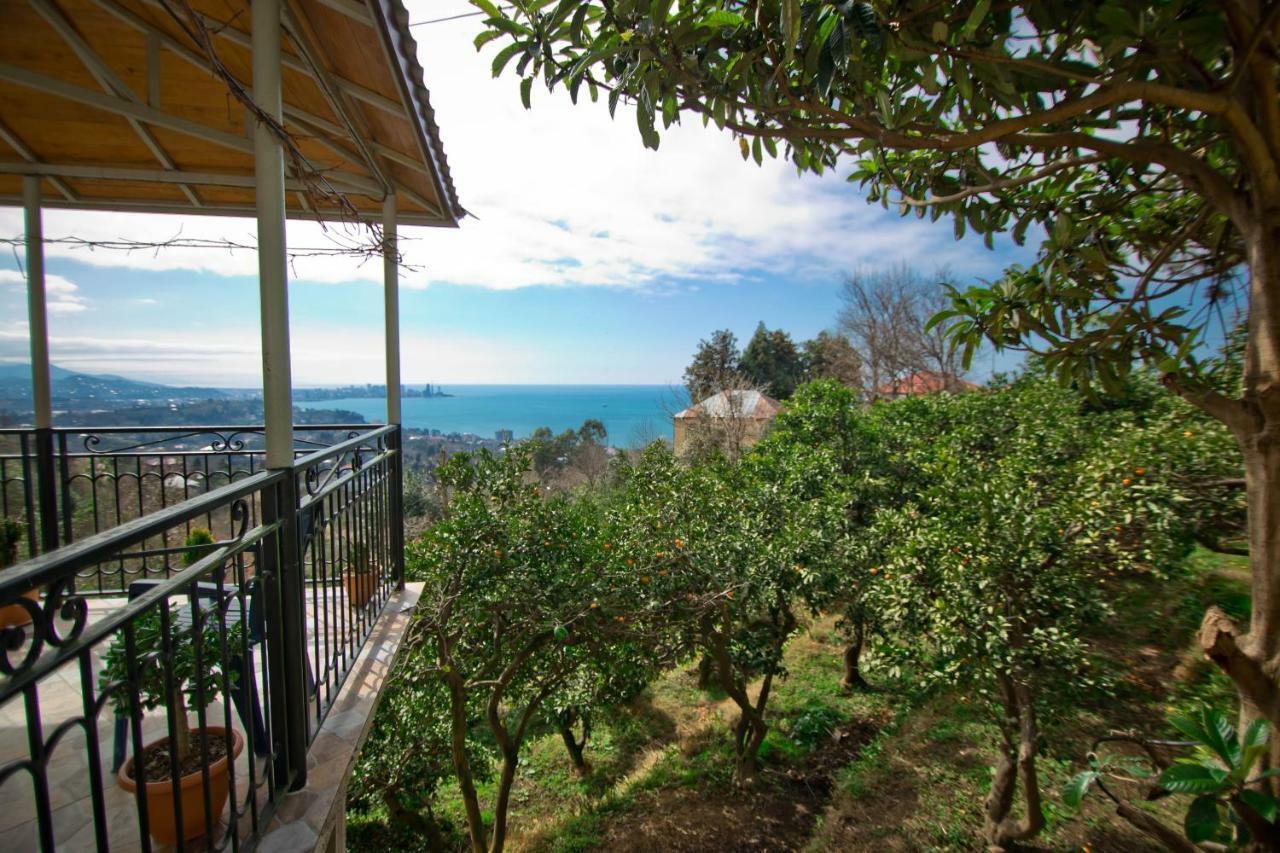 Guesthouse Mtsvane Koncxi 22 Mtsvane Kontskhi Exteriér fotografie